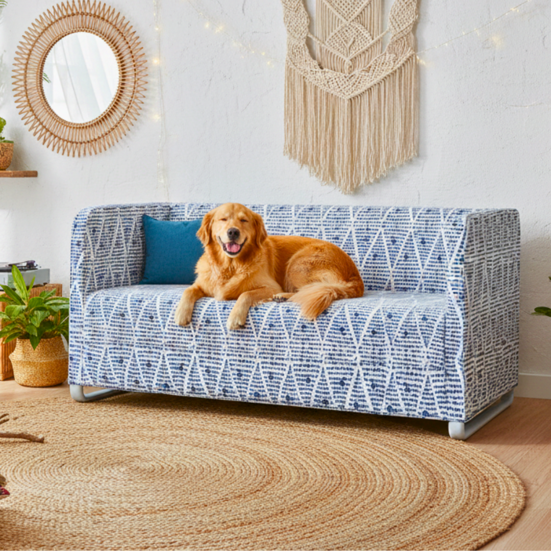 Dog lying on a patterned dog bed in a cozy living room.